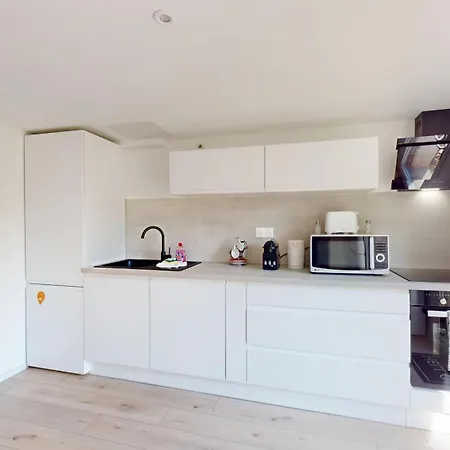 Nid De La Luss * 科尔马