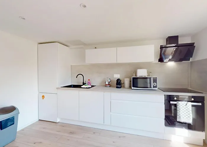 Nid De La Luss * 科尔马