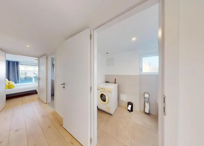 Nid De La Luss * 科尔马